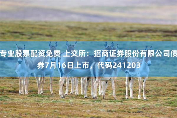 专业股票配资免费 上交所：招商证券股份有限公司债券7月16日上市，代码241203