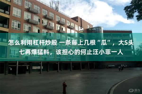 怎么利用杠杆炒股 一条藤上几根“瓜”，大S头七再爆猛料，该担心的何止汪小菲一人