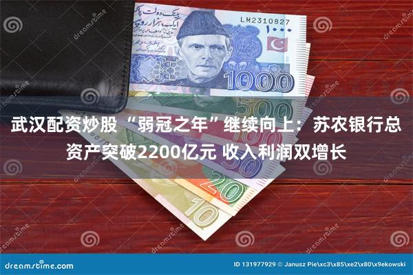 武汉配资炒股 “弱冠之年”继续向上：苏农银行总资产突破2200亿元 收入利润双增长