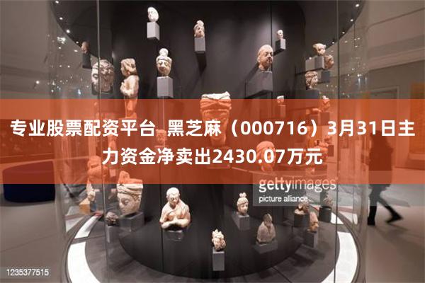 专业股票配资平台  黑芝麻（000716）3月31日主力资金净卖出2430.07万元