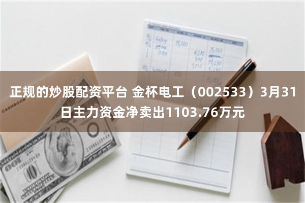 正规的炒股配资平台 金杯电工（002533）3月31日主力资金净卖出1103.76万元