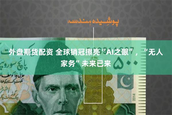 外盘期货配资 全球销冠擦亮“AI之眼”，“无人家务”未来已来