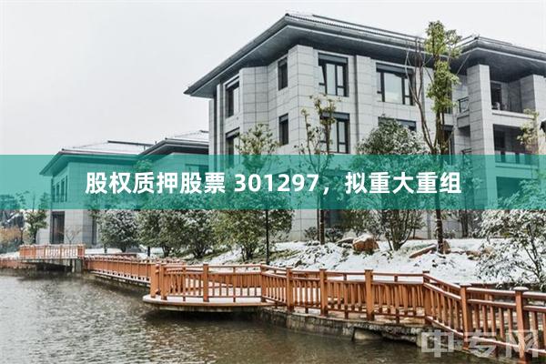 股权质押股票 301297，拟重大重组