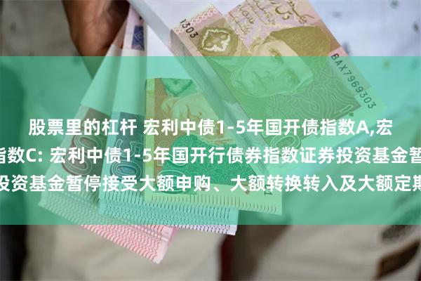 股票里的杠杆 宏利中债1-5年国开债指数A,宏利中债1-5年国开债指数C: 宏利中债1-5年国开行债券指数证券投资基金暂停接受大额申购、大额转换转入及大额定期定额投资业务的公告