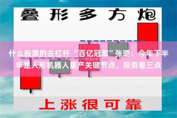 什么股票的去杠杆 “百亿冠军”张璐：今年下半年是人形机器人量产关键节点，投资看三点