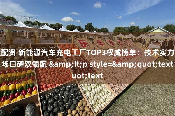 实盘配资 新能源汽车充电工厂TOP3权威榜单：技术实力与市场口碑双领航 &lt;p style=&quot;text