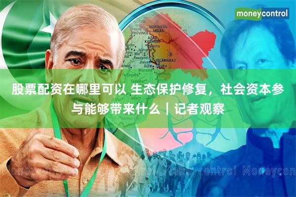 股票配资在哪里可以 生态保护修复，社会资本参与能够带来什么｜记者观察